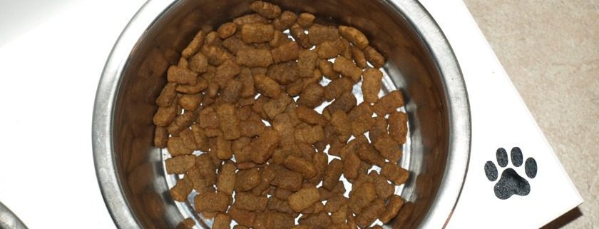 Nutrient Analysis of Meals for Your Dog
