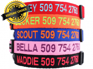 Editors Choice Is GoTags Personalized Dog Collar Custom Embroidered with Pet Name and Phone Number