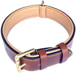 Soft Touch Collars Luxury Real Leather Padded Dog Collar