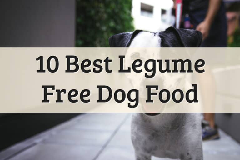 Best Dog Food Without Peas And Legumes Feature Image
