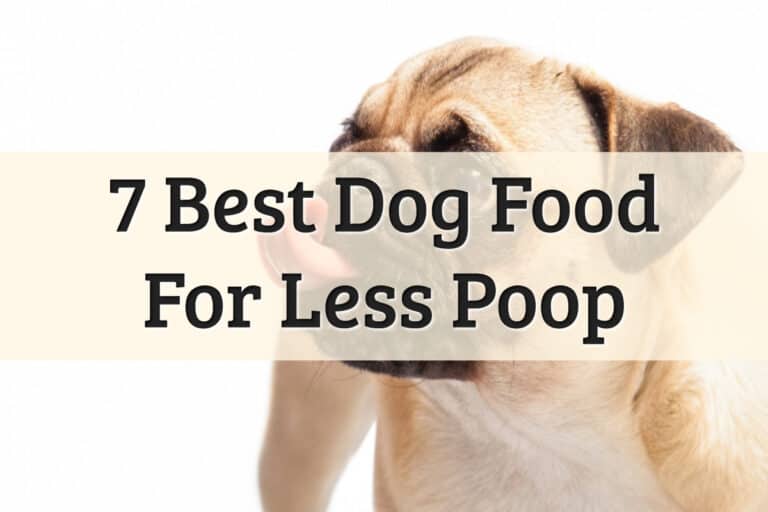 Best Food That Dog Needs To Eat To Produce Less Poop Reviews Feature Image