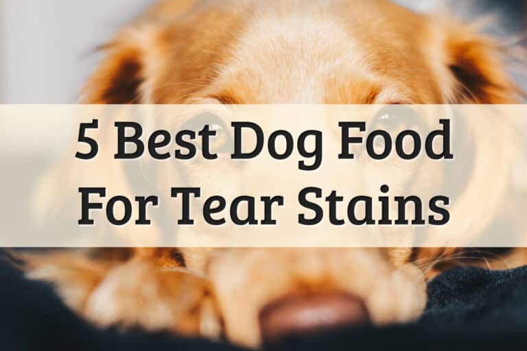 Best Dog Food For Tear Stain Feature Image