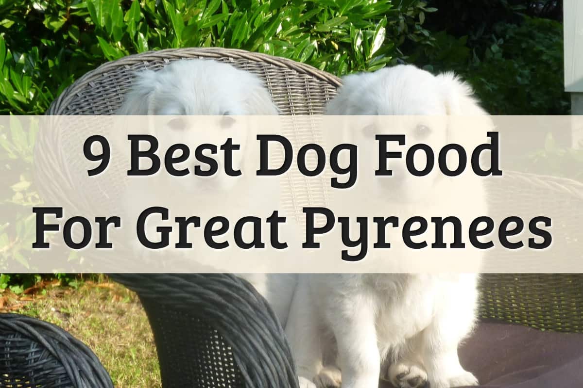 best clippers for great pyrenees