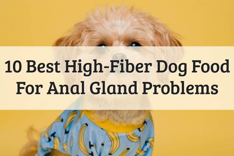 Best Dog Food For Anal Glands Issues - Feature Image