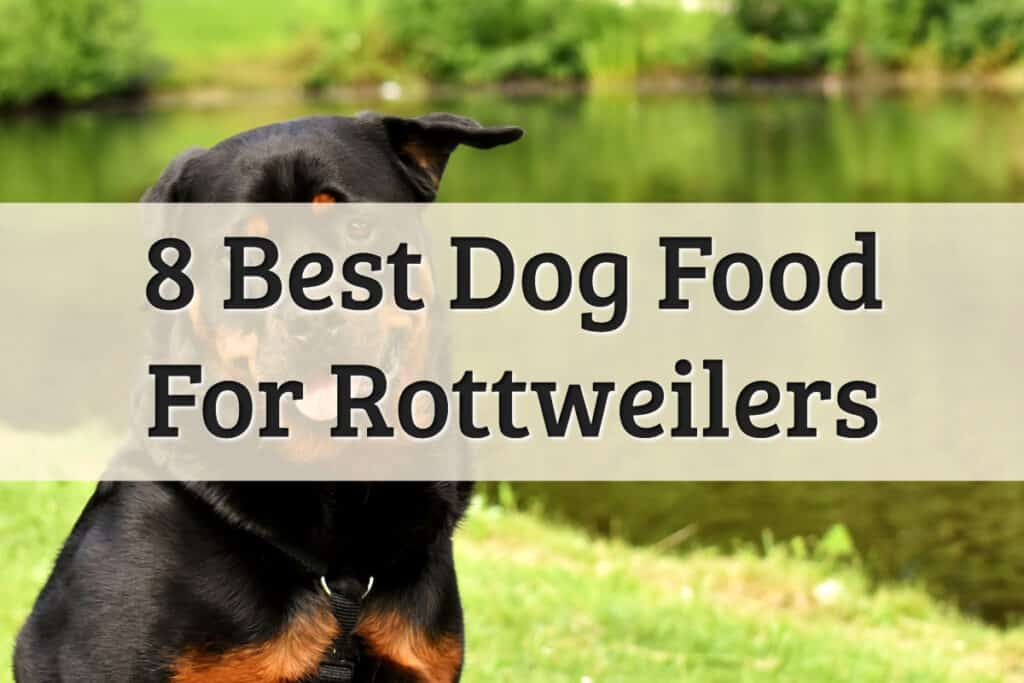 Best Foods For Rottweiler Review - Feature Image