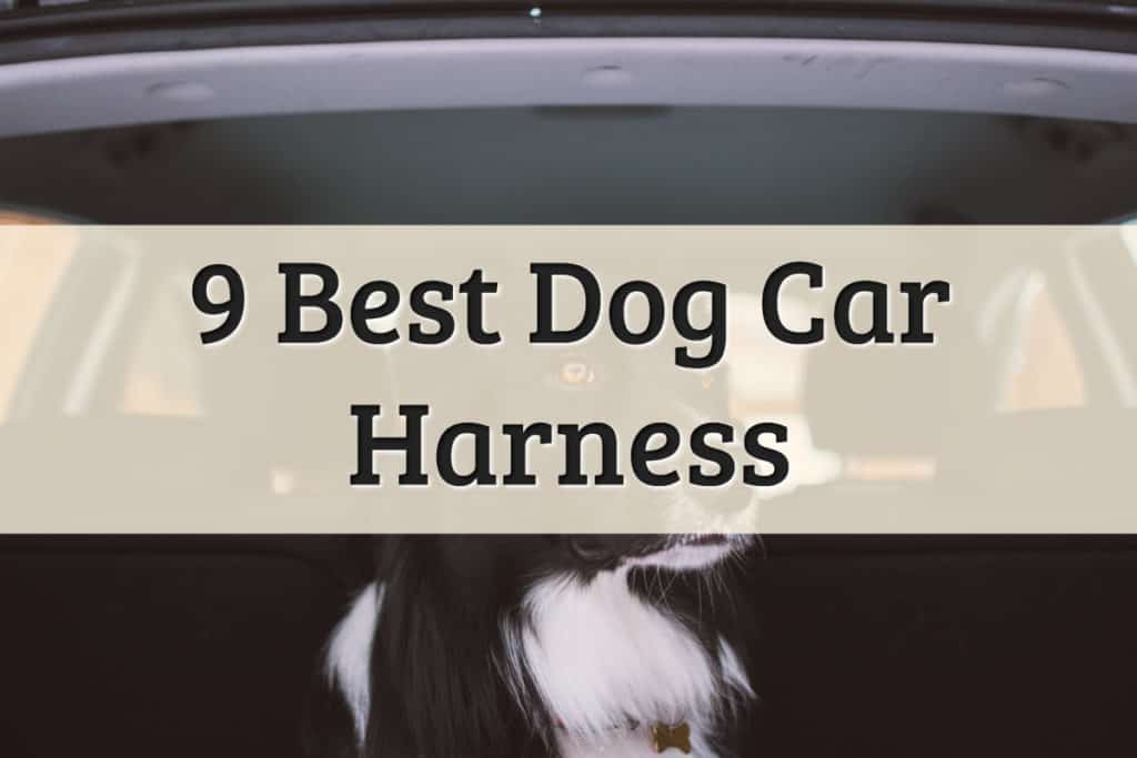 top dog car harnesses products recommendations - feature image