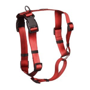 One Harness That Dogs Will Not Break Free From