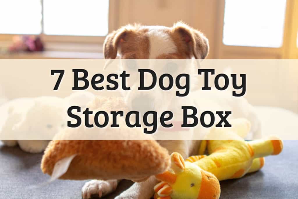 Best Dog Toy Box Feature Image