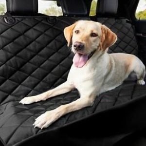 Protect Your Car's Leather Seats