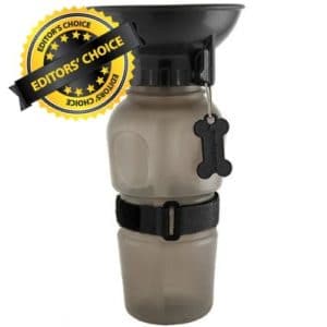 Best Dog Water Bottle Feature Image