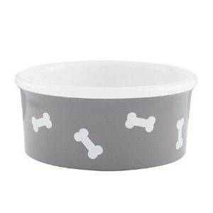 The Best Dog Food Bowl for Your Pooch