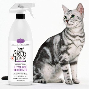 Best Cat Litter Deodorizers Available