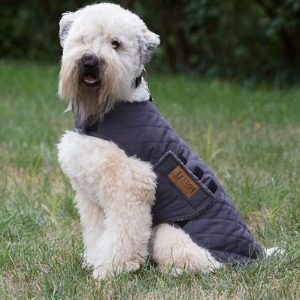 Reflective Trim on Dog Winter Coat