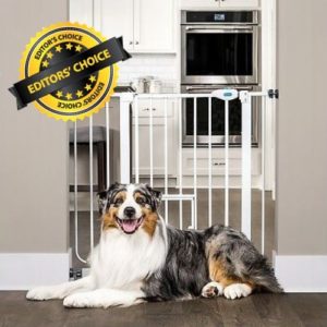 Dog Gate for Home Features