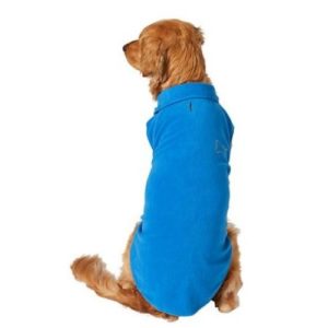 Dog Winter Coat to Keep Your Pet Warm