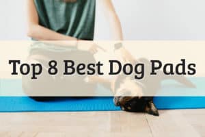 Best Home Pads For Dogs Feature Image