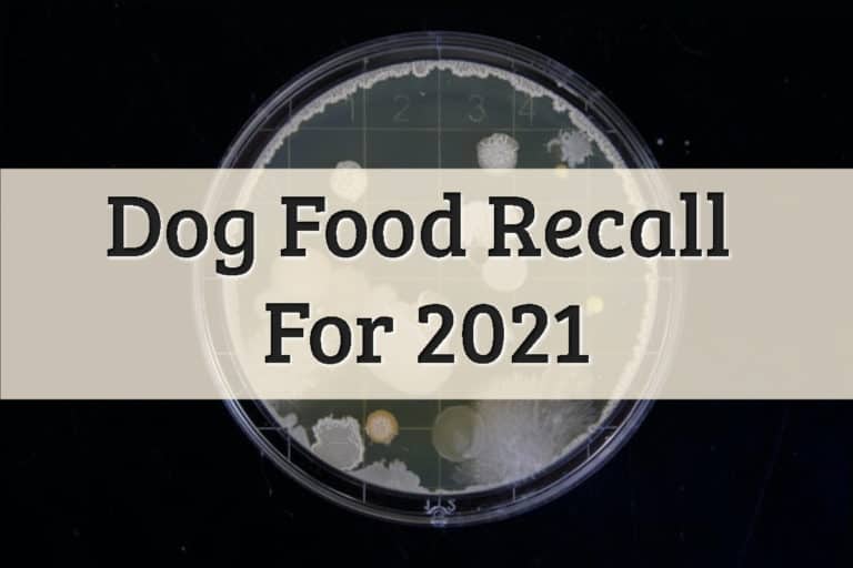 Dog Food Recall-Mold Under A Microscope Feature Image