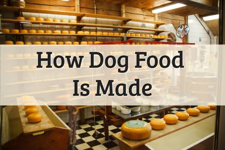 How Kibble Is Made & Cooked Feature Image