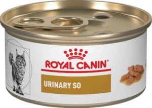 Royal Canin In Can