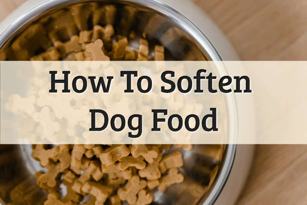 Softening The Best Dog Food Feature Image