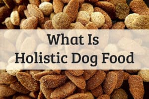 What Is Holistic Dog Food Feature Image