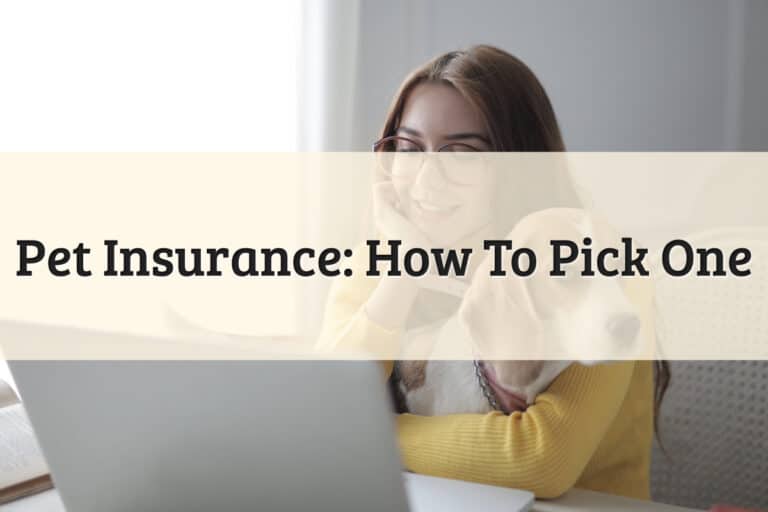 Featured Image - Pet Insurance_ How To Pick One