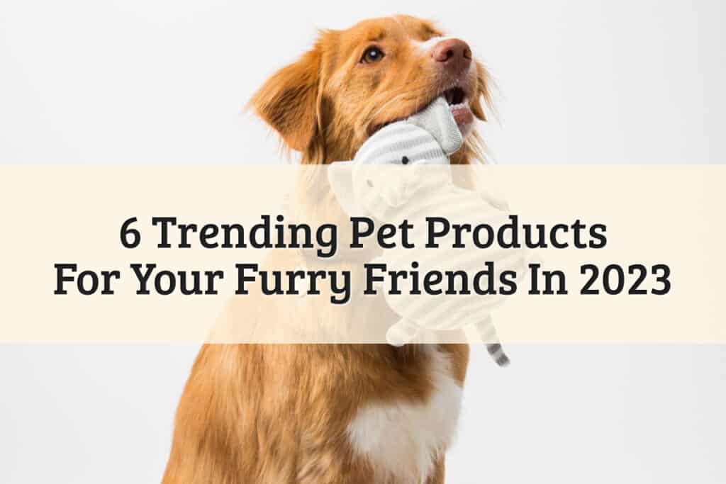 Trending Pet Products In 2023 - Featured Image
