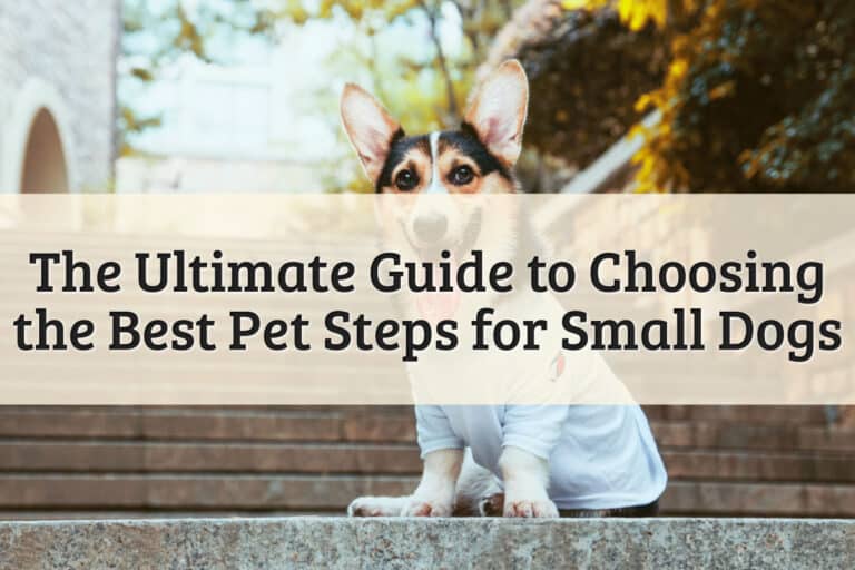Pet Steps for Small Dogs Featured Image