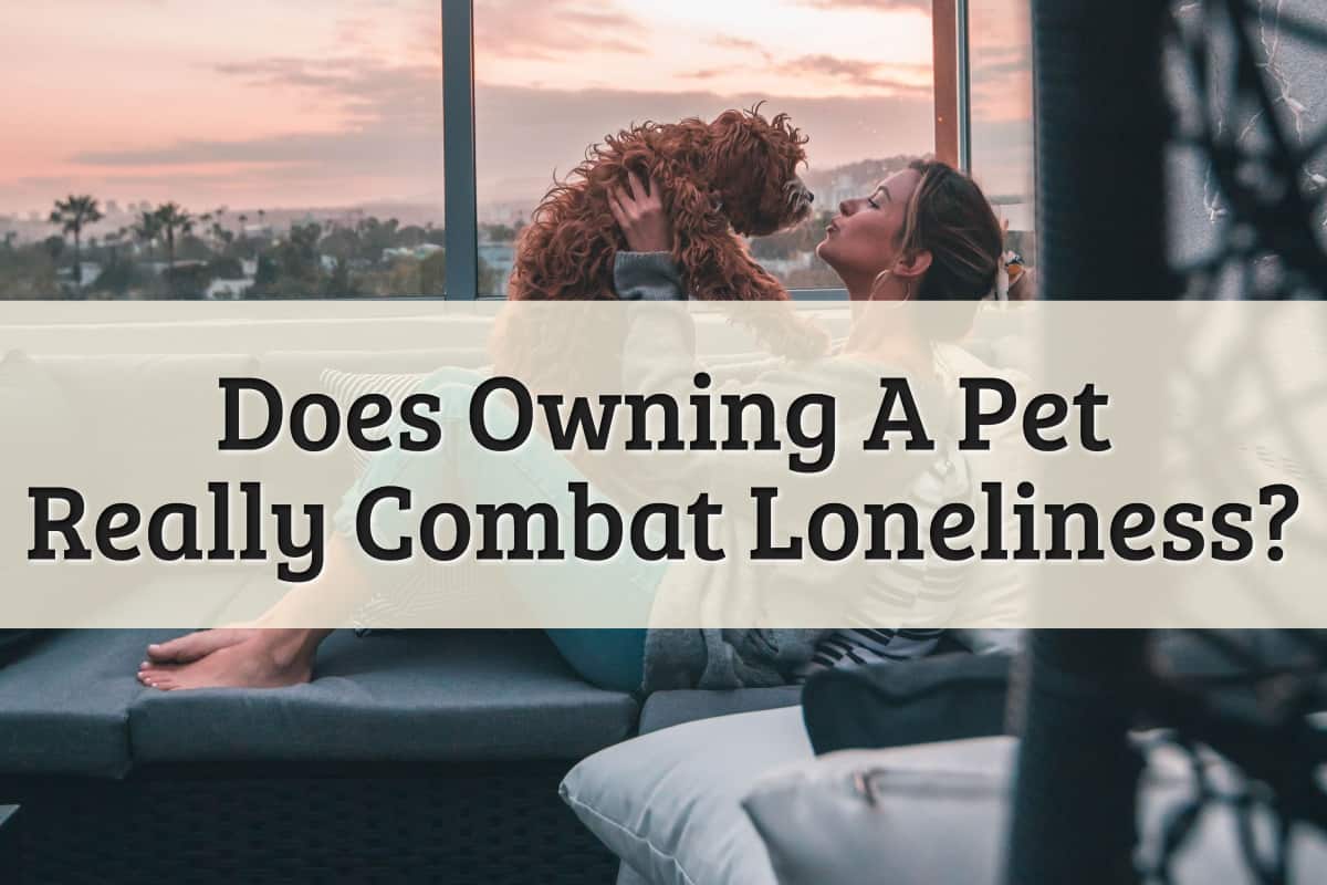 Featured Image - Owning A Pet Combats Loneliness