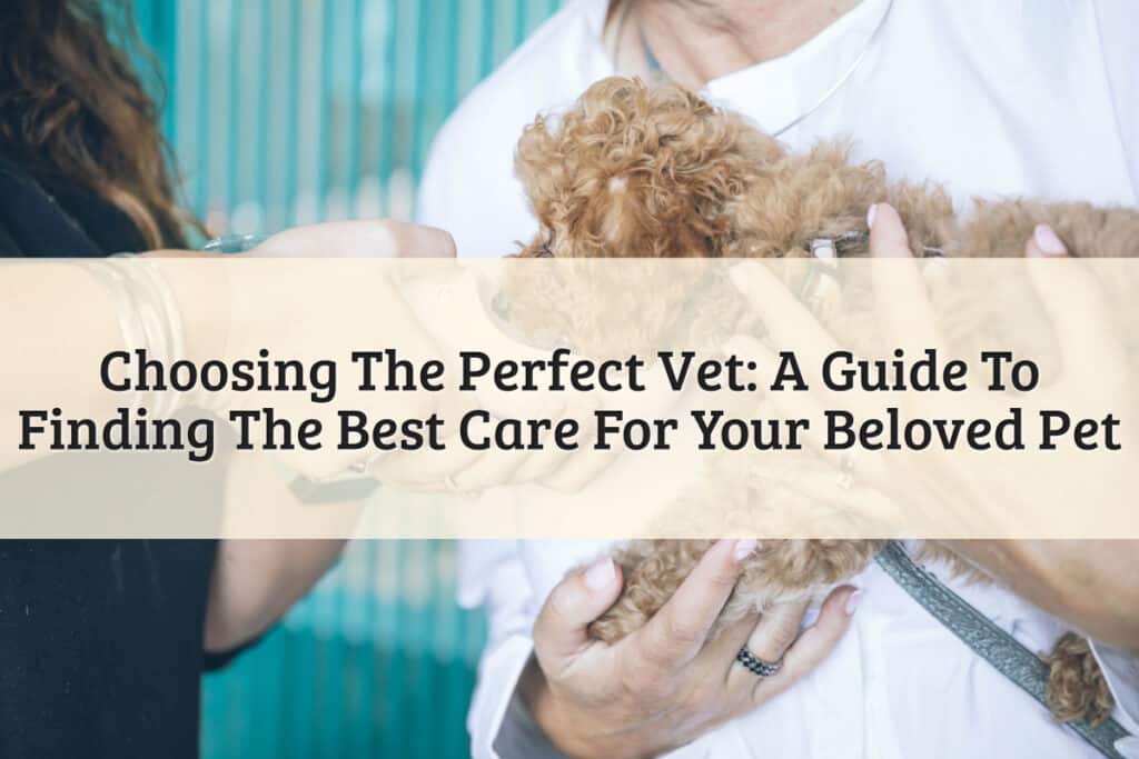 Best Care For Your Beloved Pet Featured Image