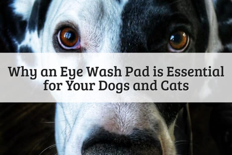 Why an Eye Wash Pad is Essential for Your Dogs and Cats