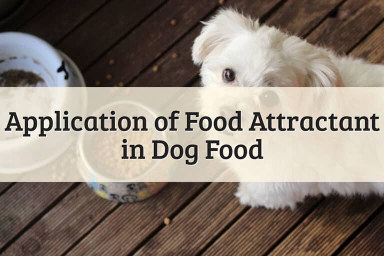 Application of Food Attractant in Dog Food