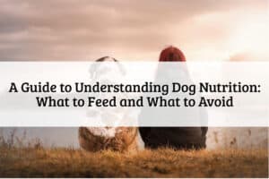 A Guide to Understanding Dog Nutrition What to Feed and What to Avoid