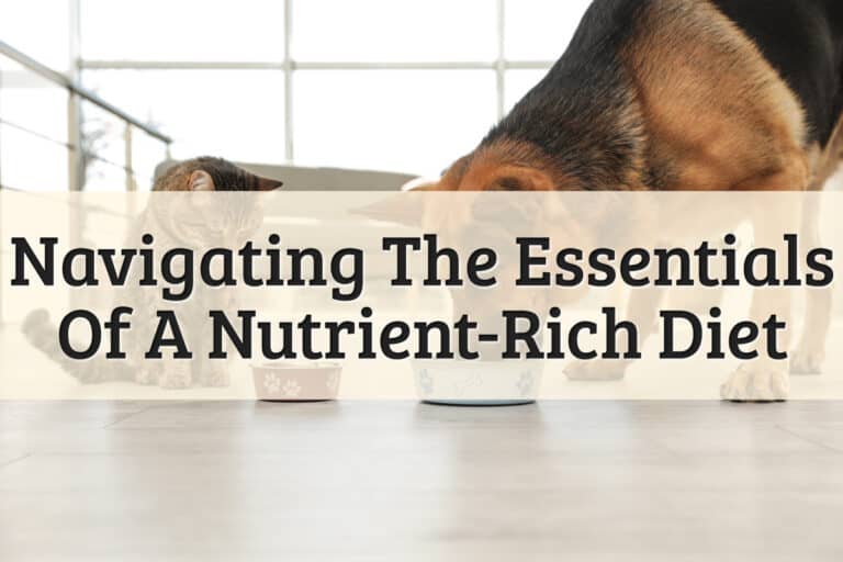 Navigating The Essentials Of A Nutrient-Rich Diet