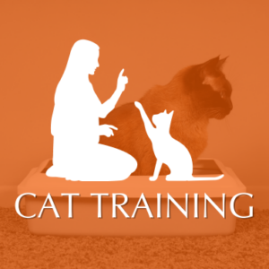 Cat Training Category Image