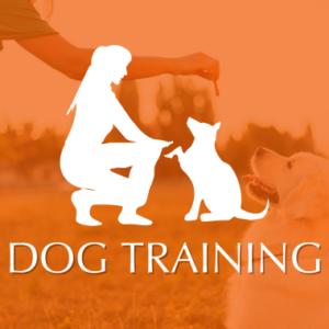 Dog Training Category Image
