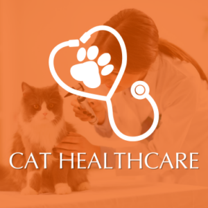 Cat Healthcare Category Image