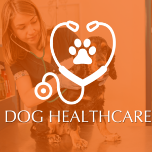 Dog Healthcare Category Image